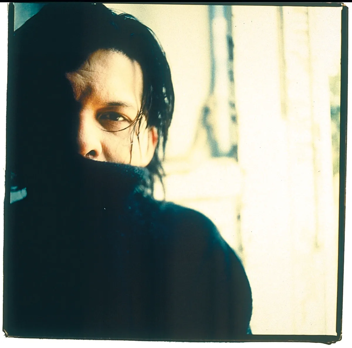 Sparklehorse